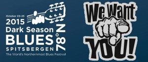 Vi har behov for frivillige under bluesfestivalen i 2015