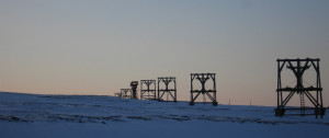 Svalbard Wildlife tilbyr dagsturer til lengre ekspedisjoner med snøscooter eller ski og om sommeren kajakkekspedisjoner, Villmarkscamper og fotturer.